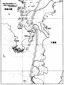 東京湾口海況図(2023/08/03)