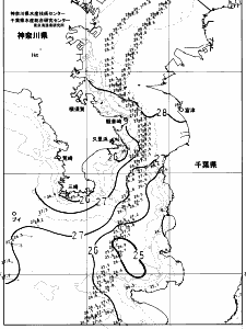 東京湾口海況図(2023/08/08)