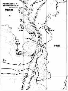 東京湾口海況図(2023/08/09)