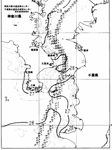 東京湾口海況図(2023/08/10)