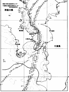東京湾口海況図(2023/08/11)