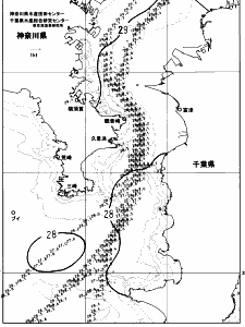 東京湾口海況図(2023/08/12)