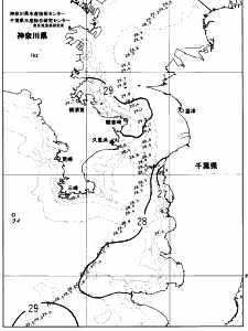 東京湾口海況図(2023/08/13)