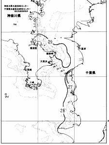 東京湾口海況図(2023/08/14)