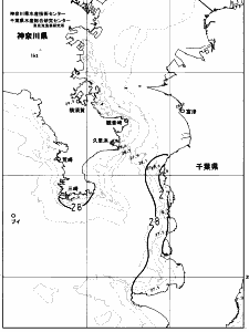 東京湾口海況図(2023/08/15)