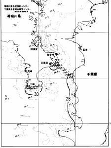東京湾口海況図(2023/08/16)