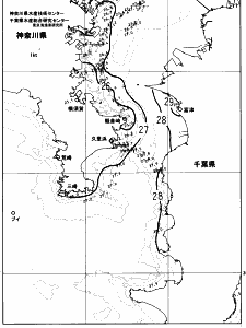 東京湾口海況図(2023/08/18)