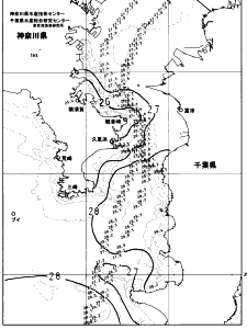 東京湾口海況図(2023/08/19)