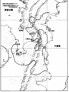 東京湾口海況図(2023/08/22)