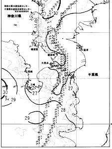東京湾口海況図(2023/08/23)