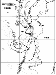 東京湾口海況図(2023/08/24)