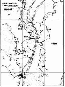 東京湾口海況図(2023/08/25)