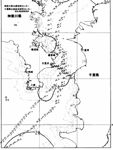 東京湾口海況図(2023/08/27)