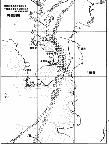 東京湾口海況図(2023/08/28)