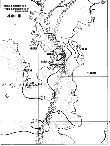 東京湾口海況図(2023/09/01)
