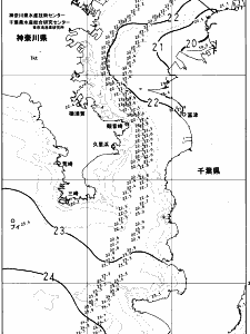 東京湾口海況図(2023/10/11)