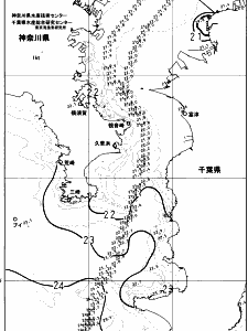 東京湾口海況図(2023/10/12)
