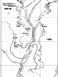 東京湾口海況図(2023/10/13)