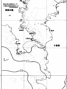東京湾口海況図(2023/10/15)