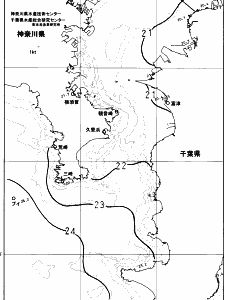 東京湾口海況図(2023/10/16)