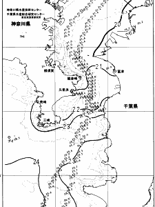 東京湾口海況図(2023/10/22)