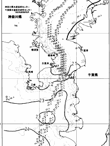 東京湾口海況図(2023/10/23)