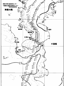 東京湾口海況図(2023/10/24)