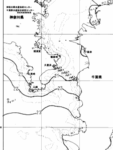東京湾口海況図(2023/10/26)