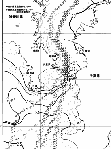 東京湾口海況図(2023/10/31)