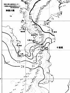 東京湾口海況図(2023/11/01)