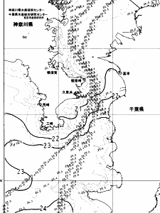東京湾口海況図(2023/11/05)