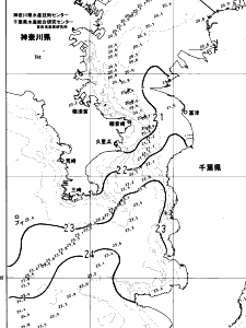 東京湾口海況図(2023/11/07)