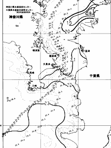 東京湾口海況図(2023/11/09)