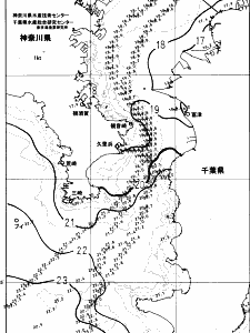 東京湾口海況図(2023/11/16)