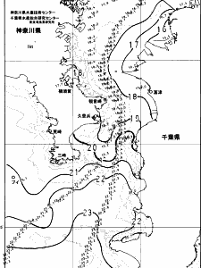 東京湾口海況図(2023/11/18)