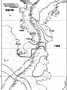 東京湾口海況図(2023/11/19)