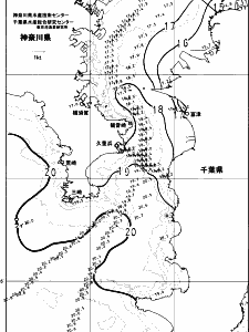 東京湾口海況図(2023/11/21)