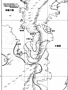東京湾口海況図(2023/11/28)
