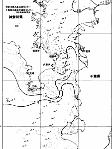 東京湾口海況図(2023/11/30)