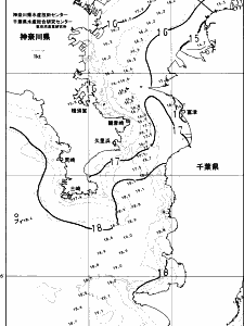 東京湾口海況図(2023/12/01)
