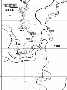 東京湾口海況図(2023/12/06)