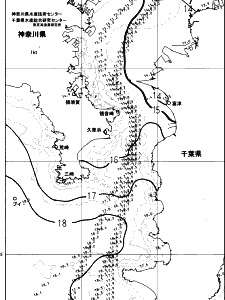 東京湾口海況図(2023/12/08)