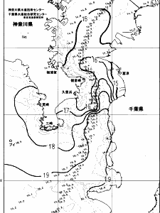 東京湾口海況図(2023/12/15)