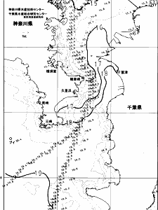 東京湾口海況図(2023/12/16)