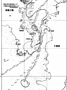 東京湾口海況図(2023/12/17)