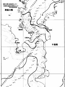 東京湾口海況図(2023/12/20)