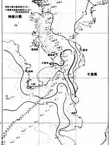 東京湾口海況図(2023/12/24)