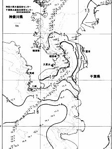 東京湾口海況図(2023/12/25)