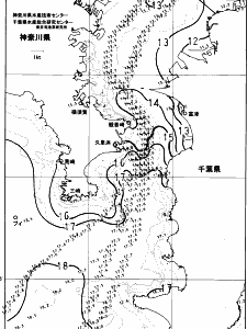 東京湾口海況図(2023/12/28)