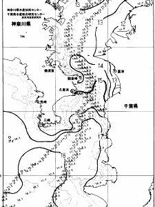 東京湾口海況図(2023/12/29)
